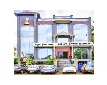 Silver Spirit Buddha